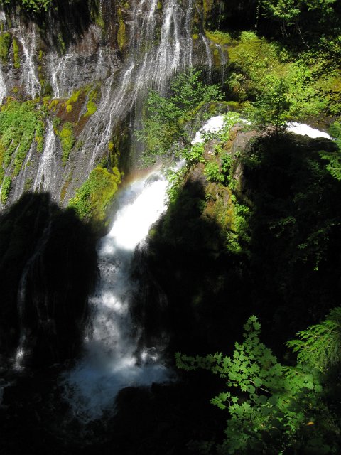 Paradise Creek-119.JPG - Panther Creek Falls